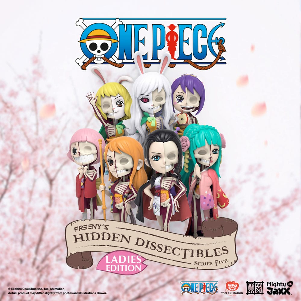 One Piece présentoir Blind Box Hidden Dissectibles Series 5