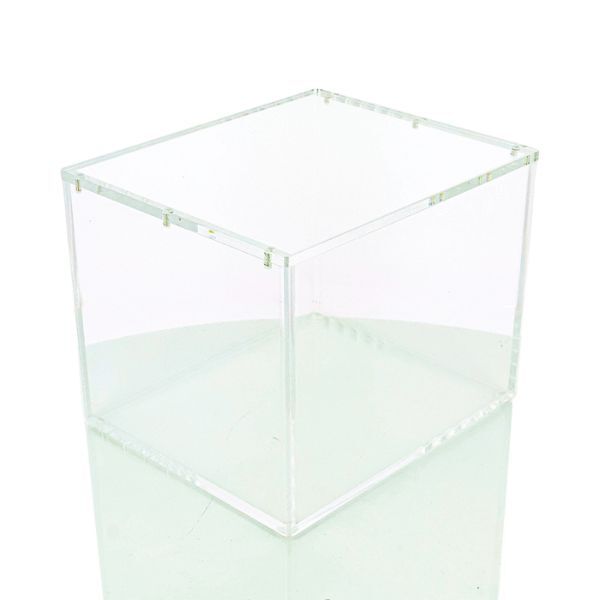 Protection acrylique transparente Phoenix Shield pour display de 10 mini tins, conçue pour exposer et protéger des coffrets scellés de cartes à collectionner.
